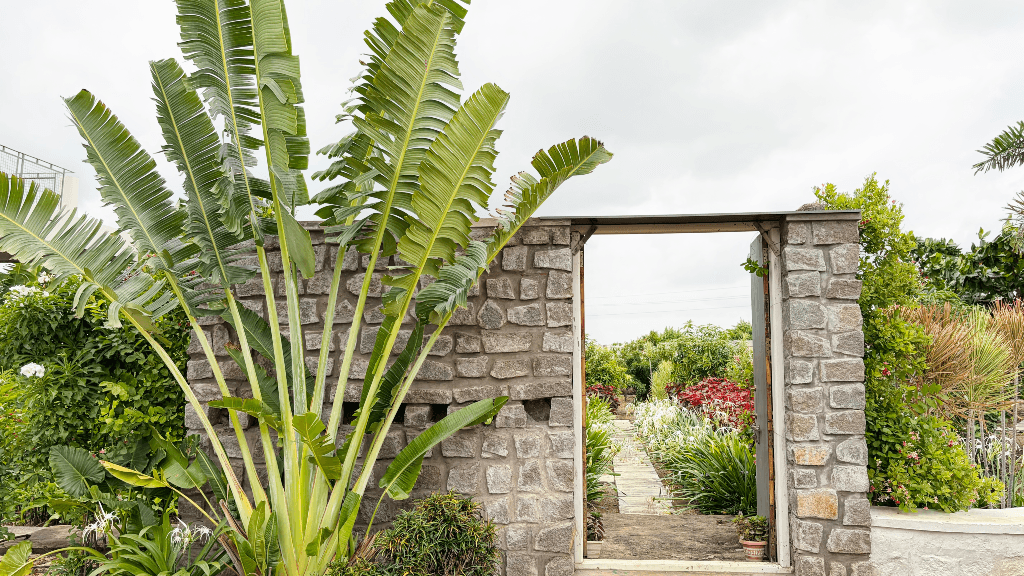 Hidden Leaf Farmhouse, Moinabad: photo 14 – photo 14