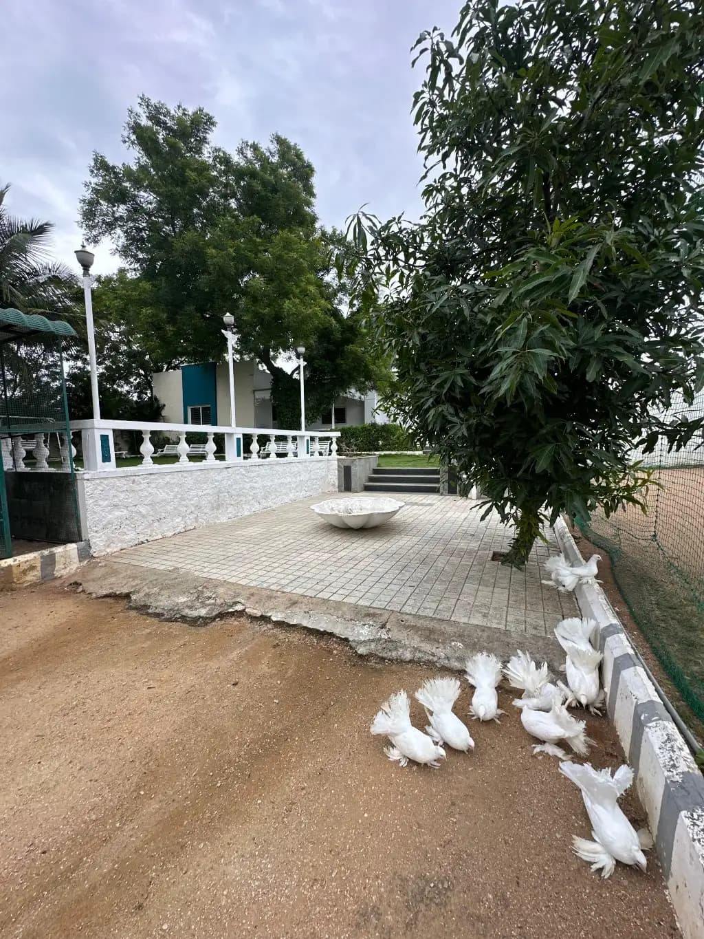 White House with Box Cricket, Moinabad: photo 13 – photo 13