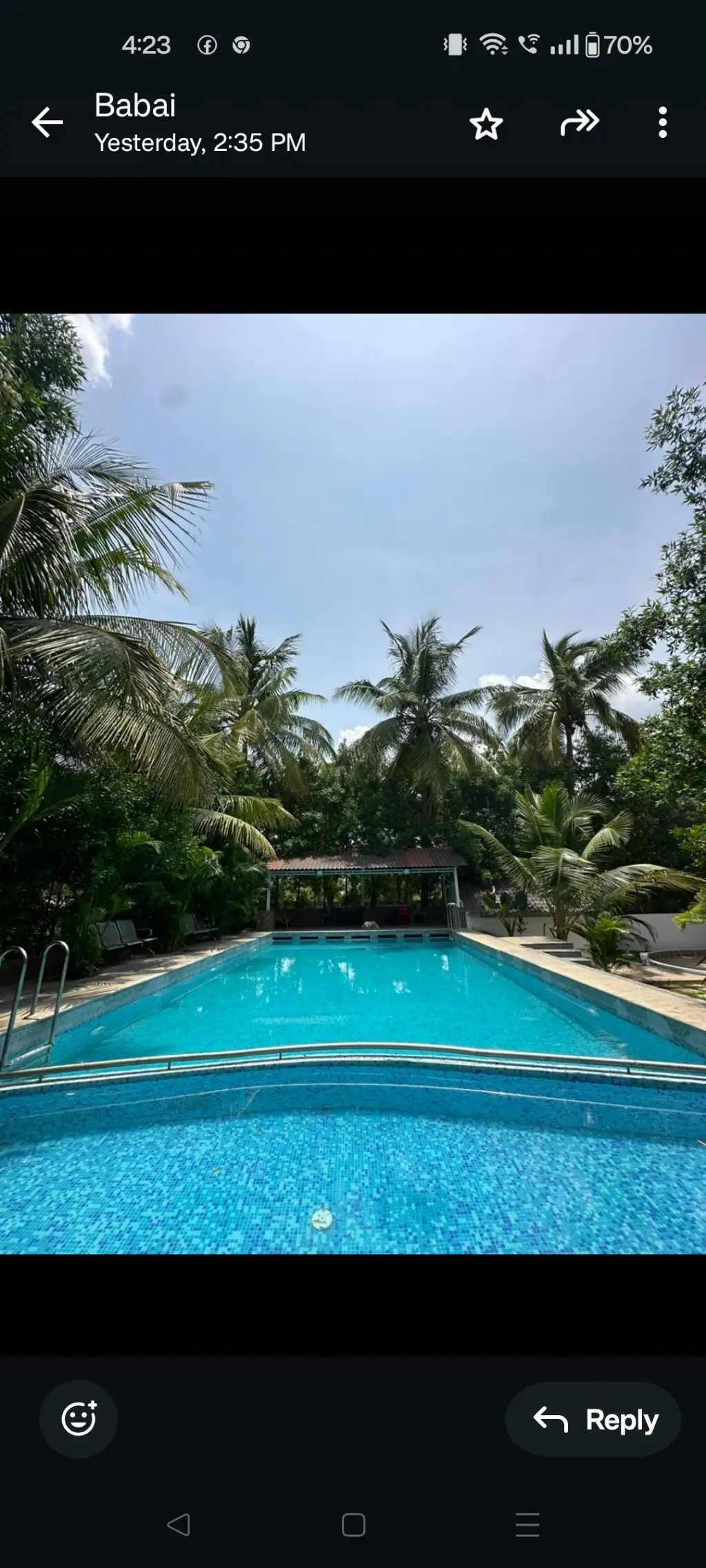 Dunduubhi farms, Peddamangalaram, Moinabad: photo 4 – photo 4