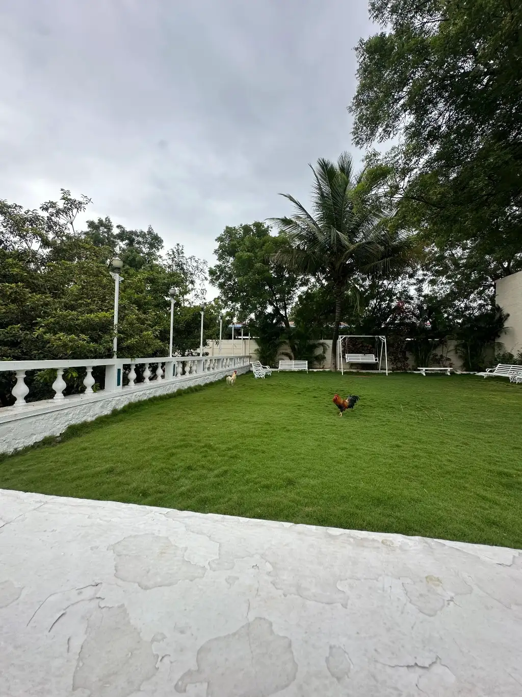 White House with Box Cricket, Moinabad: photo 11 – photo 11