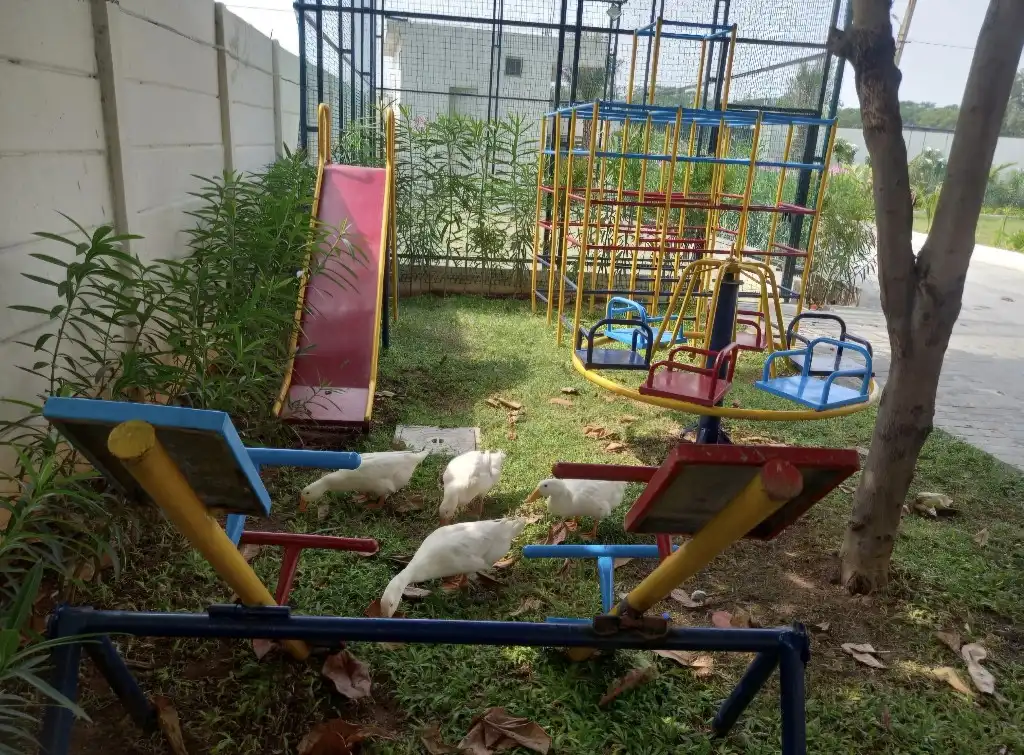 NaZaRa Farm Stay, Moinabad: photo 12 – photo 12